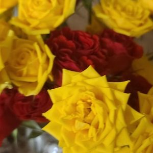 Meet your Posher, Aurora